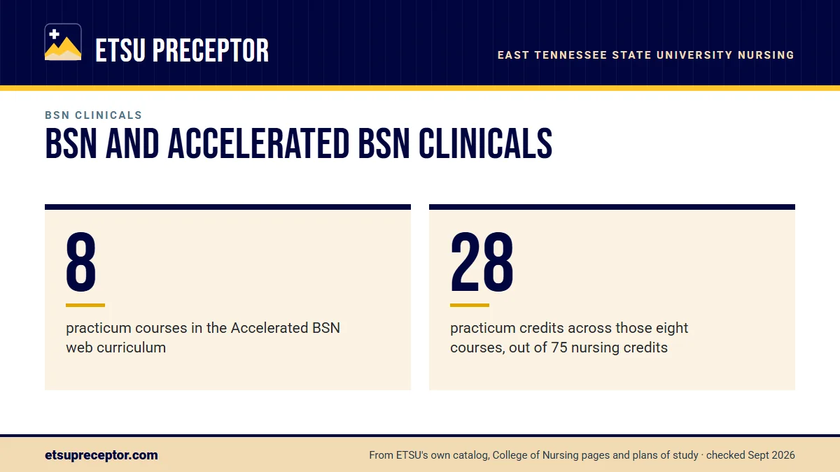 BSN and Accelerated BSN clinicals. 8: practicum courses in the Accelerated BSN web curriculum; 28: practicum credits across those eight courses, out of 75 nursing credits.
