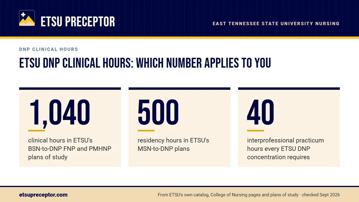 ETSU DNP clinical hours: which number applies to you. 1,040: clinical hours in ETSU's BSN-to-DNP FNP and PMHNP plans of study; 500: residency hours in ETSU's MSN-to-DNP plans; 40: interprofessional practicum hours every ETSU DNP concentration requires.