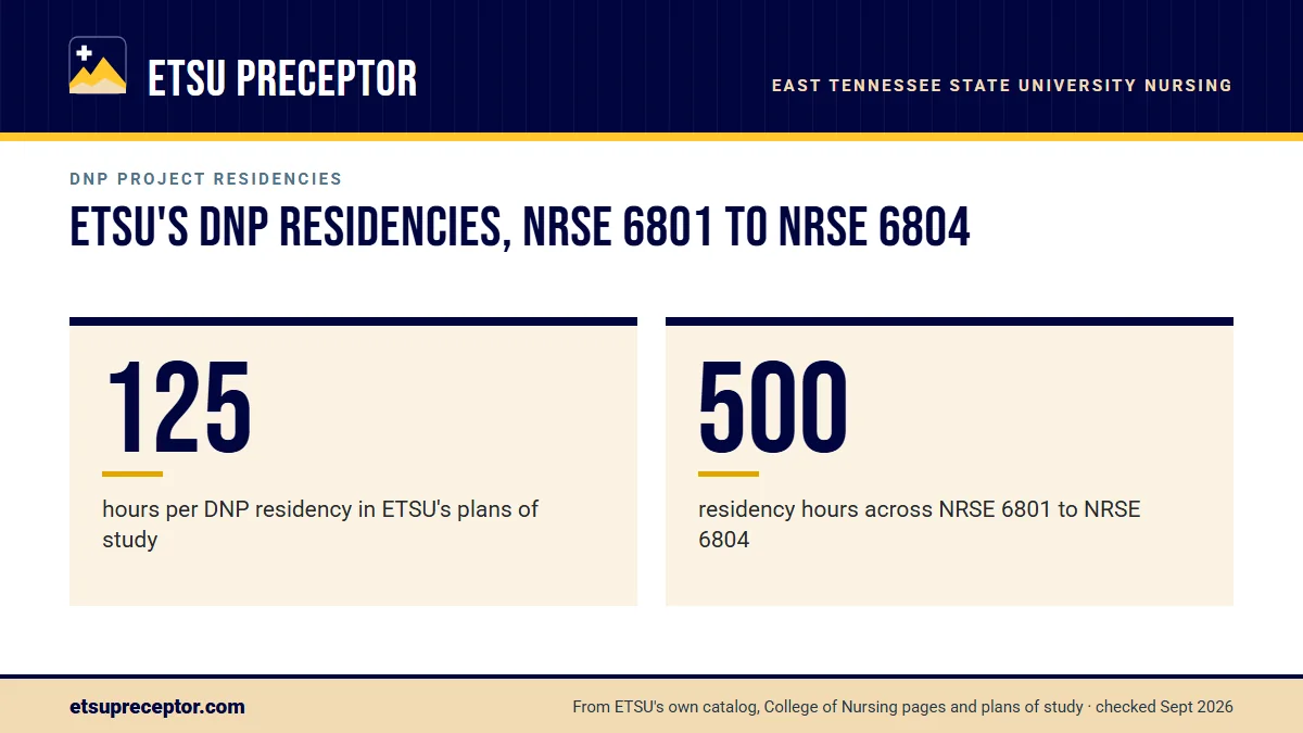 ETSU's DNP residencies, NRSE 6801 to NRSE 6804. 125: hours per DNP residency in ETSU's plans of study; 500: residency hours across NRSE 6801 to NRSE 6804.