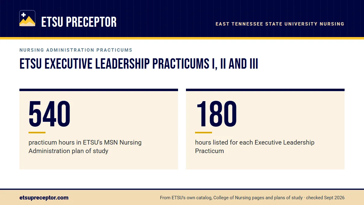 ETSU Executive Leadership Practicums I, II and III. 540: practicum hours in ETSU's MSN Nursing Administration plan of study; 180: hours listed for each Executive Leadership Practicum.
