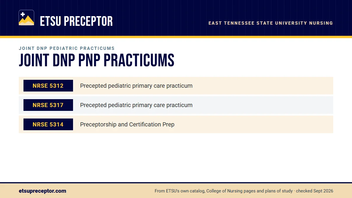 Table. Joint DNP PNP-Primary Care courses with a preceptor (ETSU 2026-27 catalog): NRSE 5312, Precepted pediatric primary care practicum; NRSE 5317, Precepted pediatric primary care practicum; NRSE 5314, Preceptorship and Certification Prep.