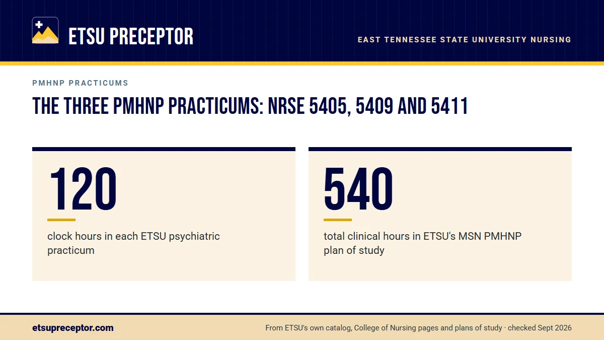 The three PMHNP practicums: NRSE 5405, 5409 and 5411. 120: clock hours in each ETSU psychiatric practicum; 540: total clinical hours in ETSU's MSN PMHNP plan of study.